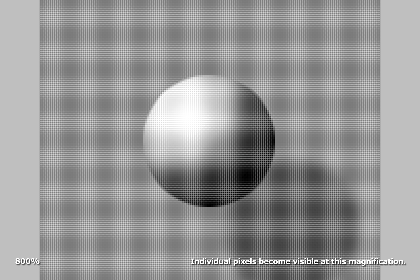 800% Individual pixels become visible at this magnification.