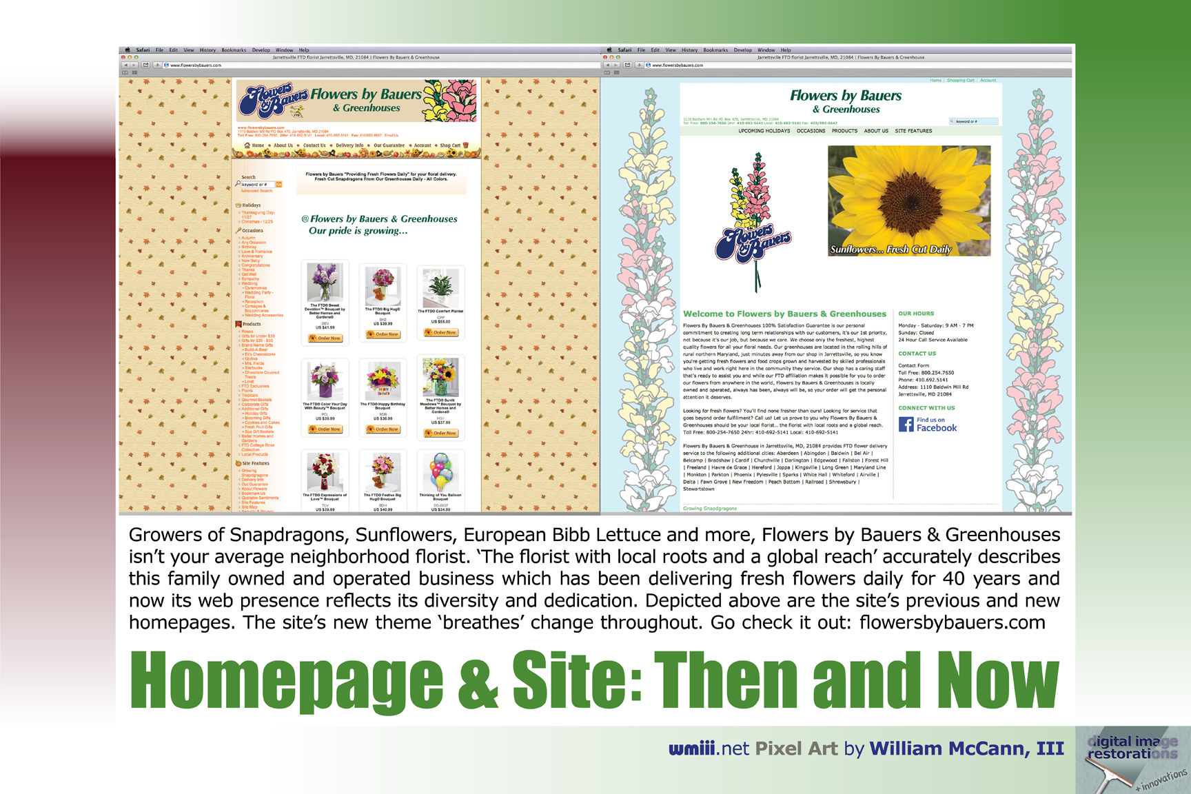 Homepage & Site: Then and Now